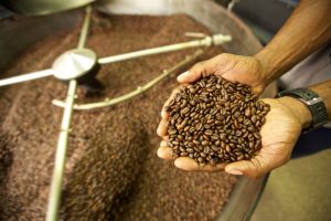 15-15 Marley Coffee Jamaica Blue Mountain