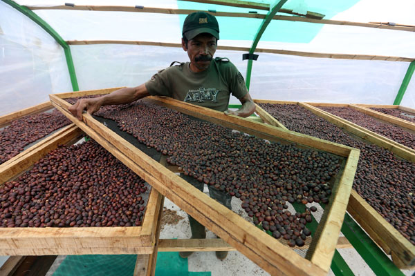 Jolotundo, Trawas, Kopi jolotundo