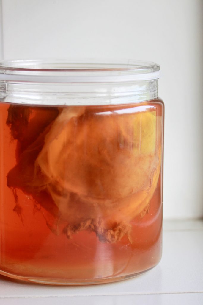 Kombucha siberia