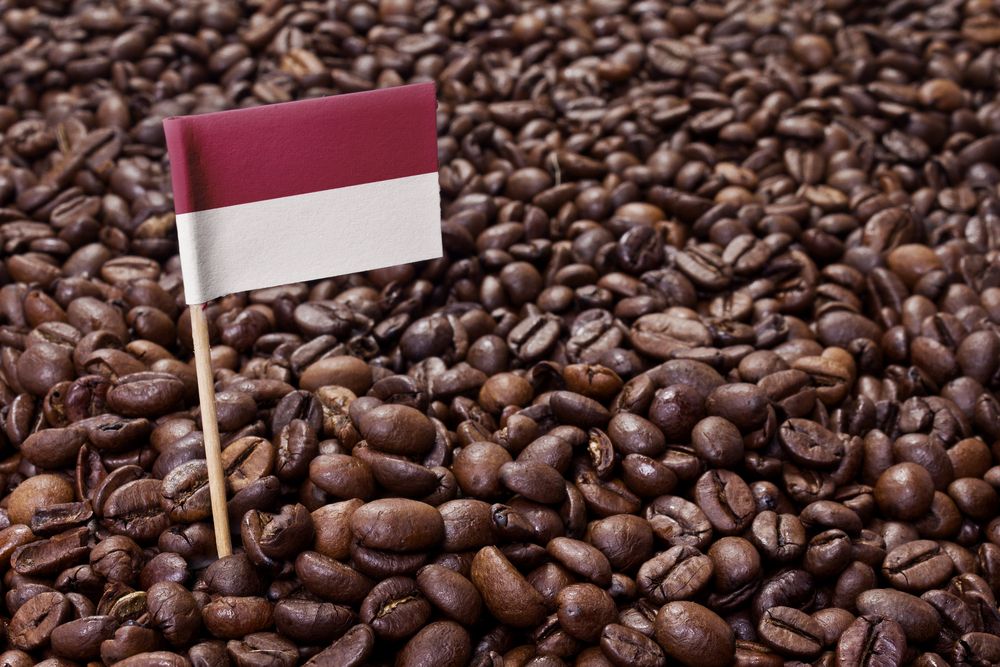 kopi