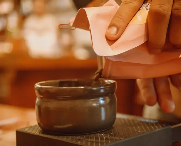 dalam banyak cerita alina, ia tak pernah lepas dari biji kopi terbaik.makanya pikirannya bernas, pertanyaannya lugas.