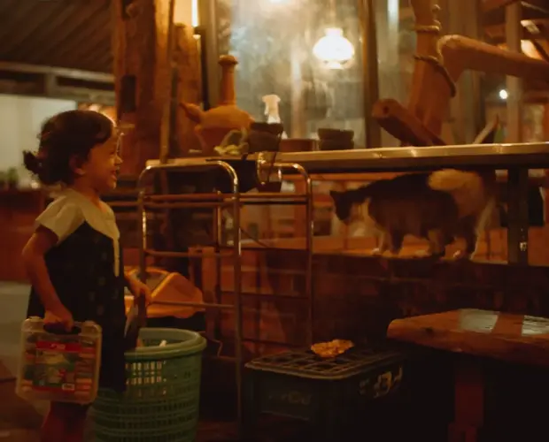 "Seekor kucing peranakan yang bersih memakai kalung lonceng duduk santai di ubin kedai Dongeng Kopi."