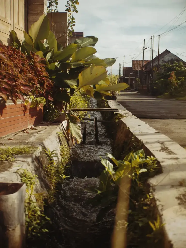 Pindah kedai hingga 5 kali, selalu ada unsur air yang mengikuti perjalanan kami. Intip misteri tak masuk akal di balik lokasi tempat ngopi di Sleman ini!