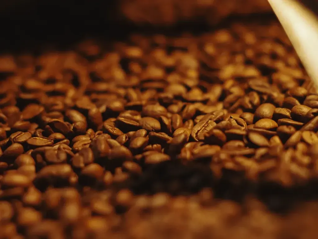 Mengapa kami menyangrai kopi di pagi hari? Simak filosofinya dan amankan rekomendasi stok biji kopi segar untuk kedai atau rumahmu di Dongeng Kopi Dalangan.